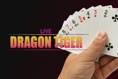 Live Dragon Tiger